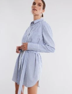 BCBGMAXAZRIA Roland Shirt Dress