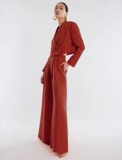 BCBGMAXAZRIA River Linen Wide-Leg Trouser -Daily Wear Shop 4.30 B AFH20493 931 3 v2