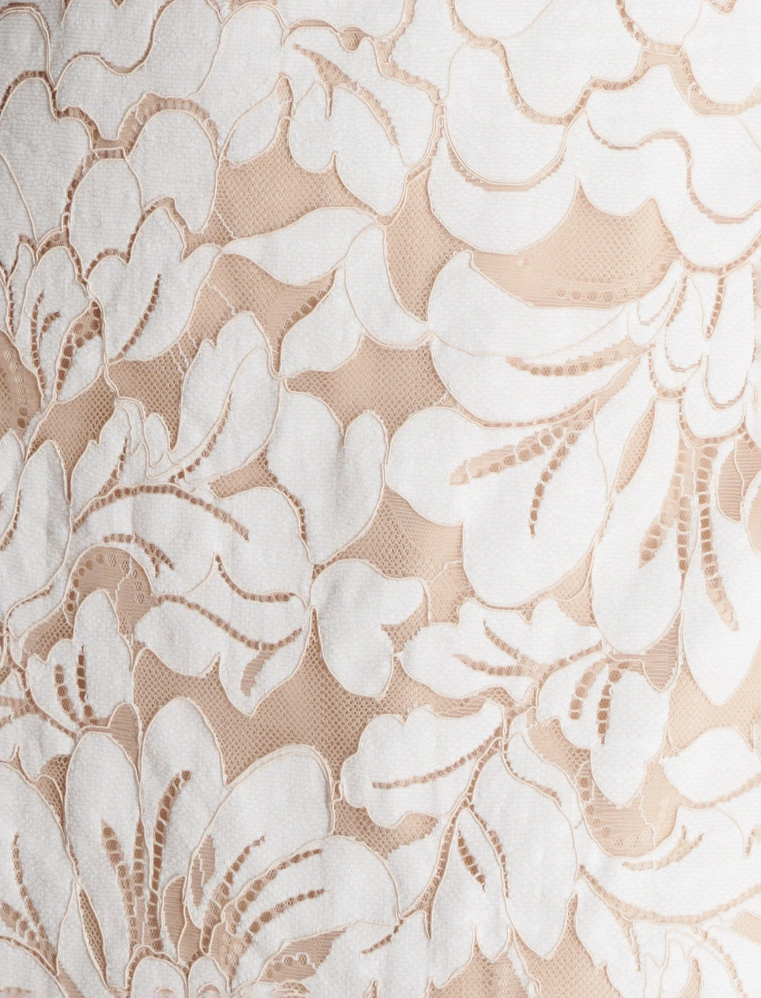 BCBGMAXAZRIA Alabama One Shoulder Lace Ruffle Gown 9 BCBGMAXAZRIA Alabama One Shoulder Lace Ruffle Gown - Image 7